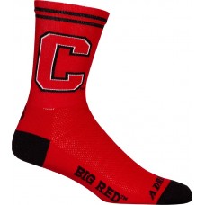 Cornell Cycling Socks
